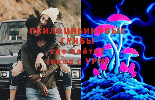 Альфа ПВП Алзамай