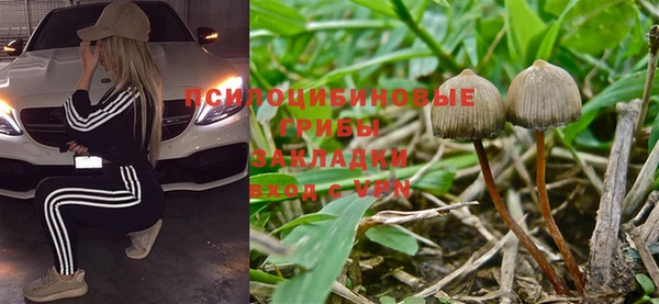 Альфа ПВП Алзамай