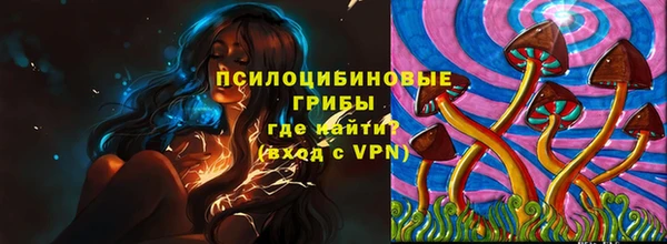 экстази Алексин