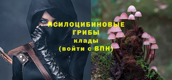 Альфа ПВП Алзамай