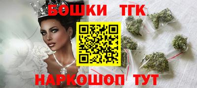 МДПВ Дубна
