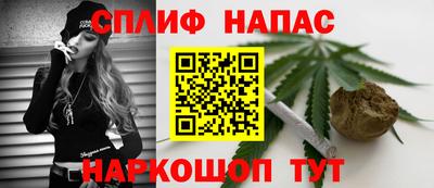 МДПВ Дубна