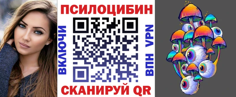 mega зеркало  Осинники  Псилоцибиновые грибы мицелий 
